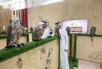 Past successes lead Irish falcon farm to bring 200 falcons to International Falcon Breeders Auction