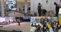 Animal lovers flock to Bangkok pet expo for latest in tech, toys and vet advice
