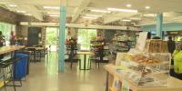 Food Chain opens green grocery store in Lexington