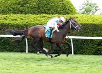 Kentucky Belle Springs The Upset in Fasig-Tipton Saratoga Oaks