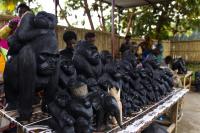 How Rwanda Is Turning Nature into a Business Model, Not Just an Environmental Obligation