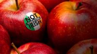 Elaine Loughlin: Reliance on fruit and veg imports reveals just how vulnerable our food security is