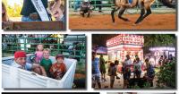 That’s Fair! 2026 Amador County Fair in the books