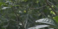 EKU’s Taylor Fork Ecological Area opens outdoor lab to students and public
