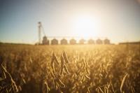 US soybean growers eye China market