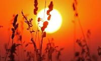 Germany Records Nearly 9600 Heat-Related Deaths in Single Week