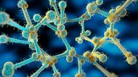 What to know about the deadly fungus in Indiana