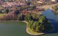 Lennox Gardens’ changing canopy as work starts to replace ageing trees
