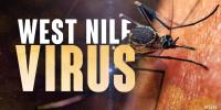 First human case of West Nile virus confirmed in North Dakota; Cass County resident hospitalized