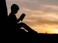 LitNation: Simple Steps to Lead America’s Youth Back to Literature – Before It’s Too Late