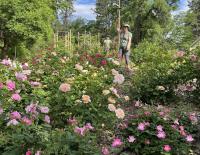 Summerland Ornamental Gardens to showcase local art and live music (Summerland)