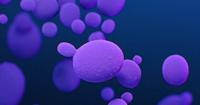 Health Beat: CDC warns of rising cases of drug-resistant fungus in multiple states