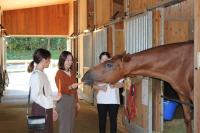 How Japan’s racehorses find second careers away from the track