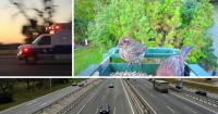 AROUND WYOMING: Cyanobacteria Bloom Warning, Fatal Crash and Bird Illness!
