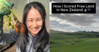 Singaporean TikToker offered chance to live for free on New Zealand land the size of Toa Payoh