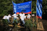 BTN Supports Sustainable Urban Development by Planting 10,000 Mangroves in Kuta, Bali