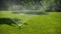 The biggest irrigated crop across the US isn't food — it's grass, and wildlife pays the price