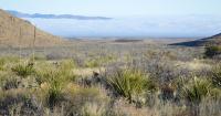 Bulldozers clearing land in Texas' Big Bend National Park for roads, border barriers