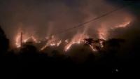 House panel calls for new satellite to monitor forest fires in Himalayan region