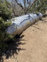 What the heck? Oddities of the Arizona Trail