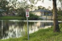Florida resident finds alligator in backyard pool as mating season sends gators wandering