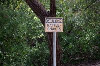 As rattlesnake bites rise, California dad survives 2 bites after 54 vials of antivenom