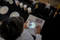 Thousands of Additives Entered the Food Supply Without FDA Review, and the Rules May Change