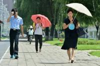 North Korea touts dog soup, ginseng to beat the heat