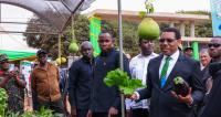 ‘Research key to agricultural transformation’