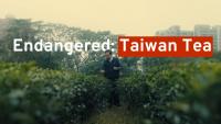 Episode 21 - Can Tea in Taiwan Survive Global Warming? | Finding Formosa