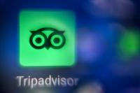 Tripadvisor’s Hotel Search Falls 21 Percent While Viator Keeps Growing