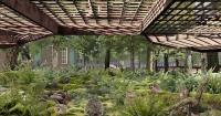 urban living library transforms fragmented city spaces into biodiverse ecological corridors