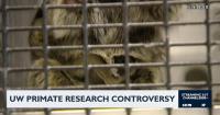 PETA asks USDA to investigate UW-Madison primate research incidents