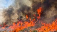 Helicopter carrying two crashes while battling Utah wildfire; Oregon blaze kills bulldozer operator