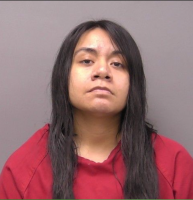 Woman admits using internet to terrorize a victim in Kansas
