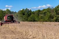 KNAPP: For real “farm aid”, go “free trade”