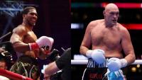 Battle of Britain: 7 Things To Know About Tyson Fury vs Anthony Joshua Long-Awaited Match