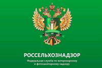 The Rosselkhoznadzor did not allow the import of livestock products from the Belarusian Veles-Mit LLC, which tried to circumvent previously imposed restrictions