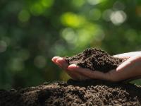 Valuing our soil through science, art and policy