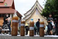Activists demand halt to transboundary river pollution