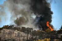 Europe boils and burns: capitalism’s climate hellscape
