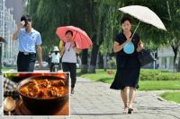 North Koreans encouraged to eat ‘nutritious’ dog-meat soup during sweltering summer heat