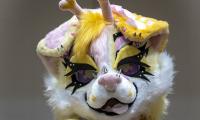 Do you know what FURRIES are? We go inside Ireland's strange new world, where dragons check into hotels, foxes roam the corridors and costumes can cost up to €10,000