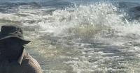 Video shows hippo charging boat full of tourists in Botswana