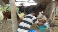 19 Sri Lankan dairy farmers selected for specialised training programme in India