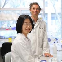 Solving a mysterious inflammatory fever opens the book on a much bigger story