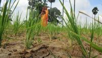 Food Security Act amendment will hurt the poorest