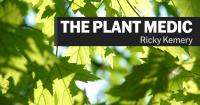 The Plant Medic: Weather likely reduced Japanese beetle populations in Fort Wayne area