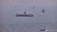 West Asia war LIVE: U.S. expects deal soon on Strait of Hormuz