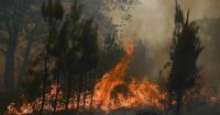 Stop Blaming the Climate for Wildfires We Can Prevent